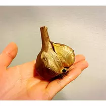 さくら