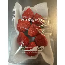白石 愛莉