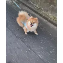 なお