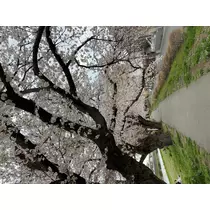 りか
