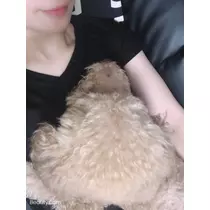 美波 あいか