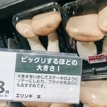 紫音