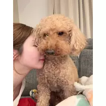 美波 あいか