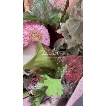 朝陽 凪