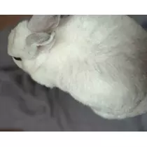 ユイ