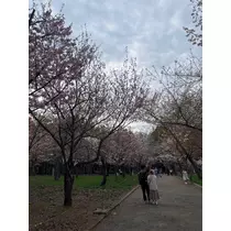 乙川 ゆあ