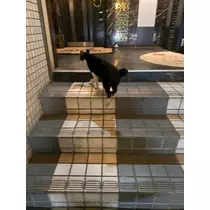 りん