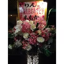 桃瀬 百華