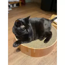 あいゆ