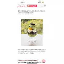 西園寺 ゆきみ