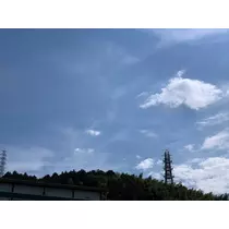 椿綺 楓