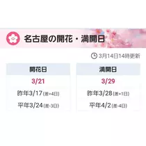 エミ （スタッフ）