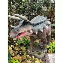 姫花