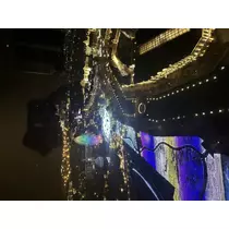 アユ