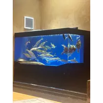 みやび