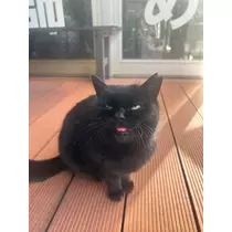 かびるんるんさわ