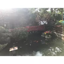 ティナ