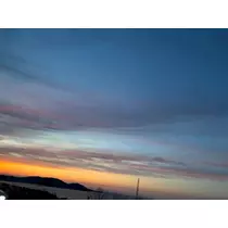 香川 ゆい