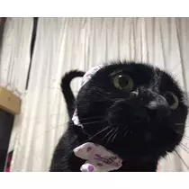 あい