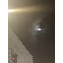 もも