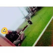 本城 椿