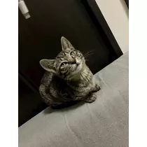 響