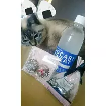 ひな