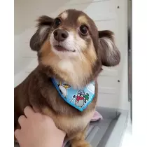 ゆあ