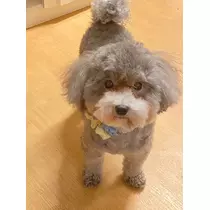 うづき ふうか