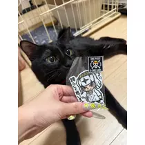 芹奈