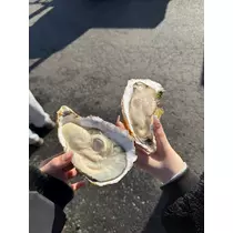 ティラノまな