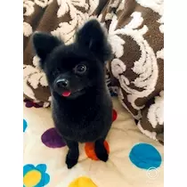 ティナ