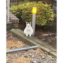 そら