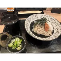 佐倉 里緒