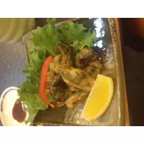 蓮見 リア
