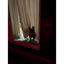 えり