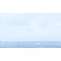 りさ