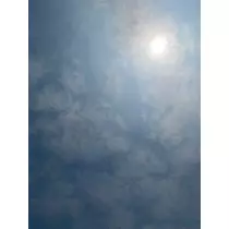 成海 まお