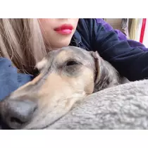 紗貴