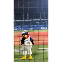 トモミ