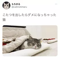 れみ