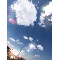 エリカ