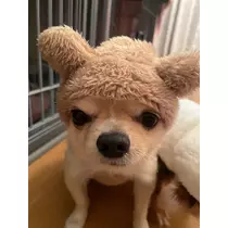 みらい