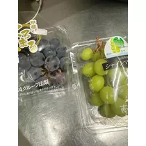 白石 愛莉
