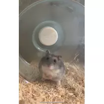 ゆな