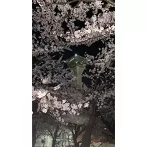篠宮 みさき