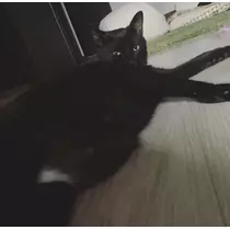響