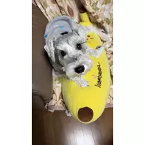 天月 あすな