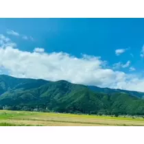 ゆかり
