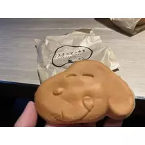 七星 夏純